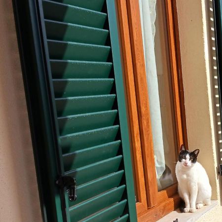 Willa Casa Di Zio Monticiano Zewnętrze zdjęcie