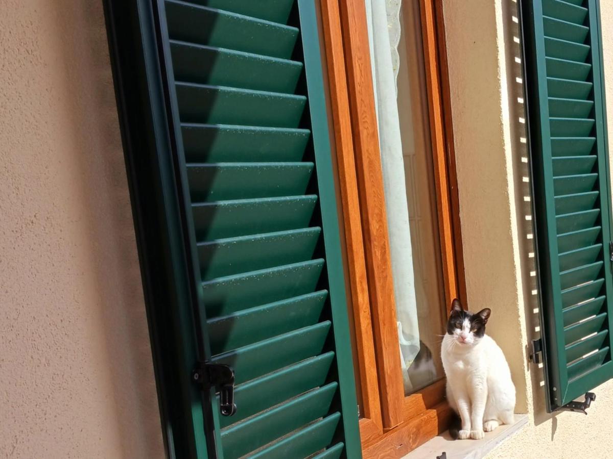 Willa Casa Di Zio Monticiano Zewnętrze zdjęcie